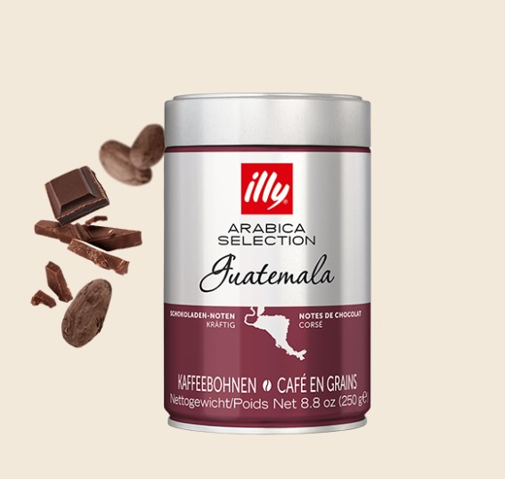 illy イリー アラビカ セレクション Arabica Selection グアテマラ コーヒー豆 250g 1缶
